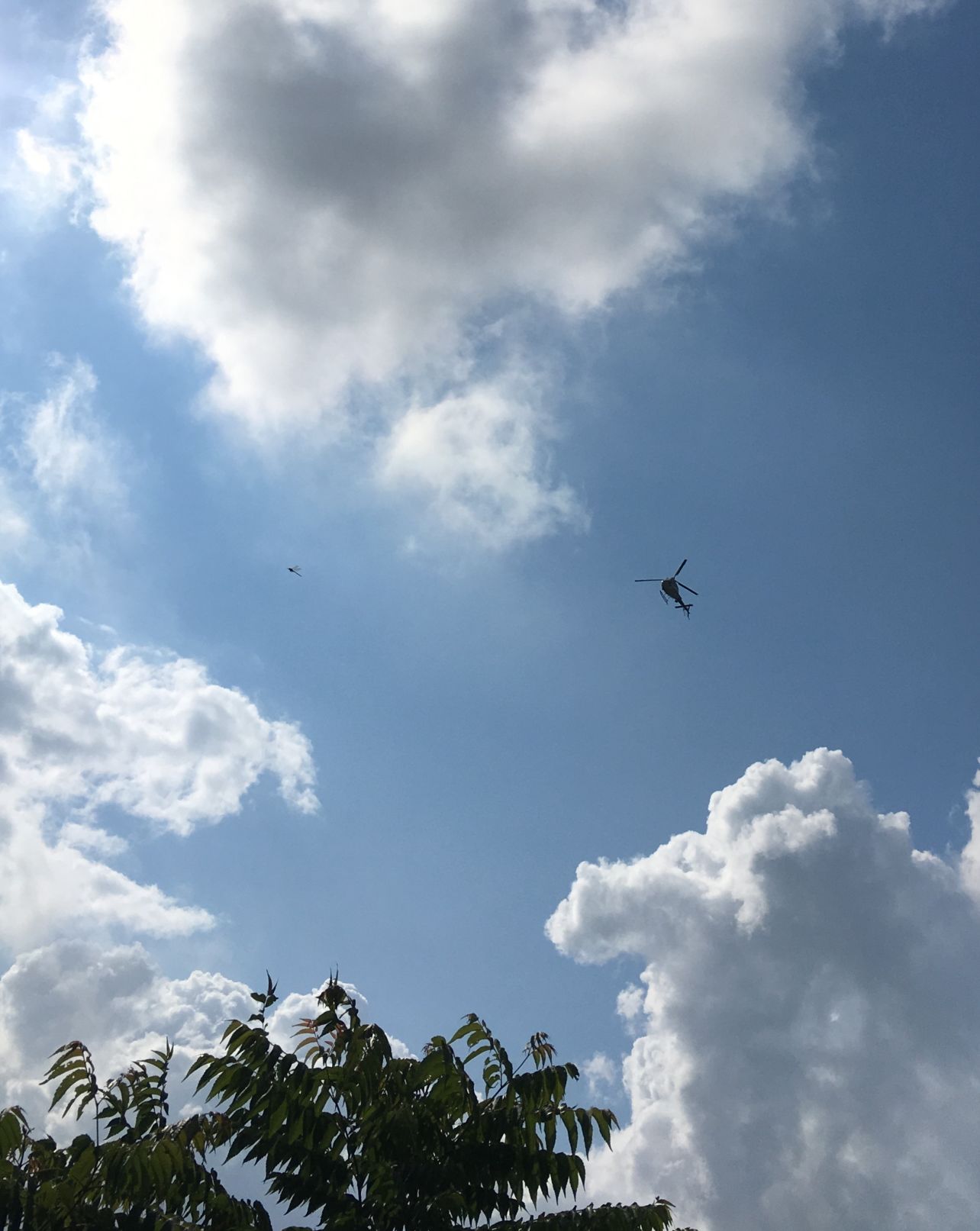 DPS helicopter assists in Calhoun County missing person search
